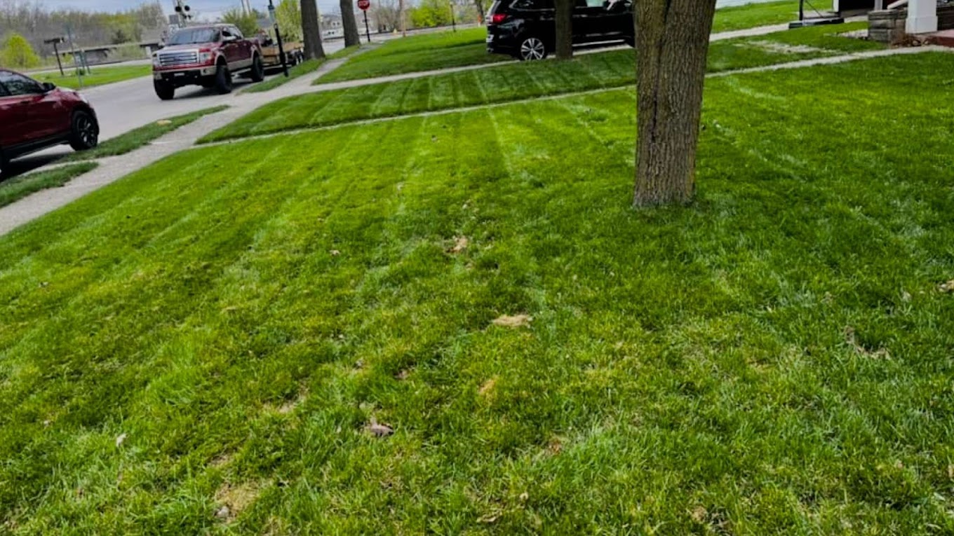 Lawn Care Example 9