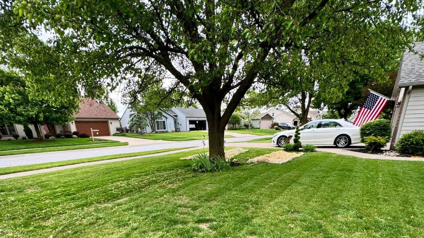 Lawn Care Example 10