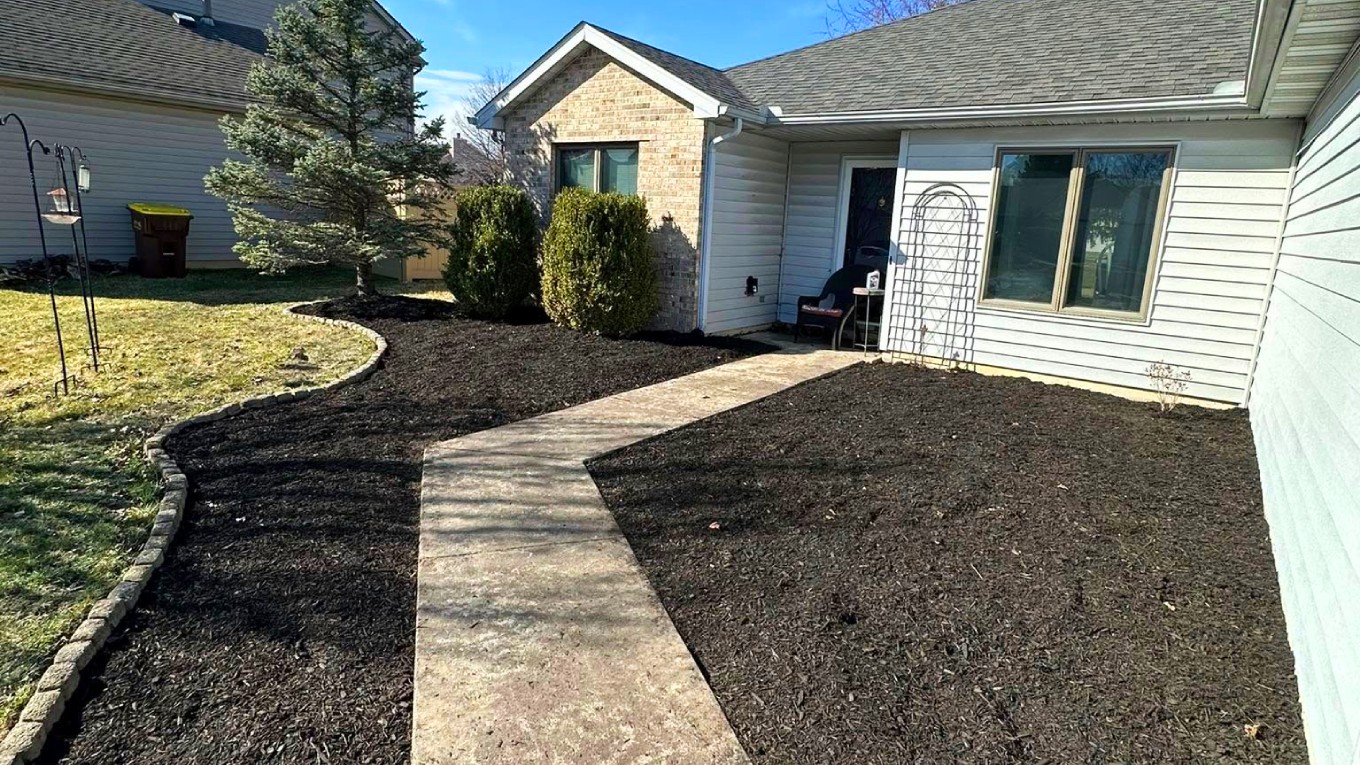 Softscape Example 10